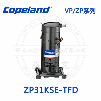 ZP31KSE-TFD